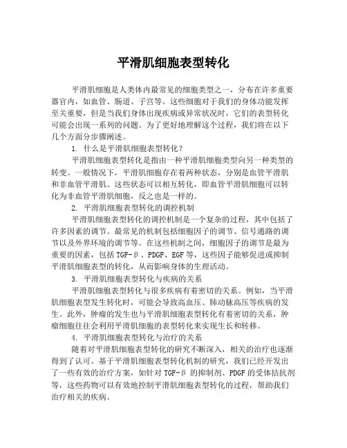 平滑肌细胞表型转化