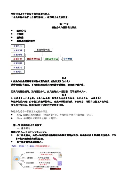 细胞分化与基因表达调控