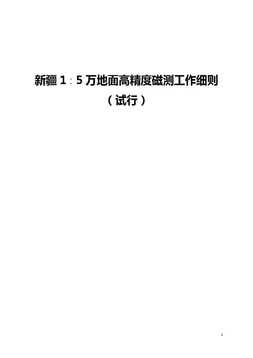 新疆1∶5万区域地质矿产调查磁法工作细则