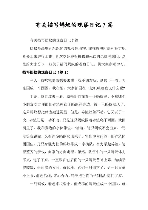 有关描写蚂蚁的观察日记7篇