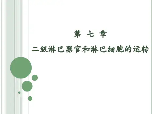 免疫学概览第七章-二级淋巴器官和淋巴细胞的转运