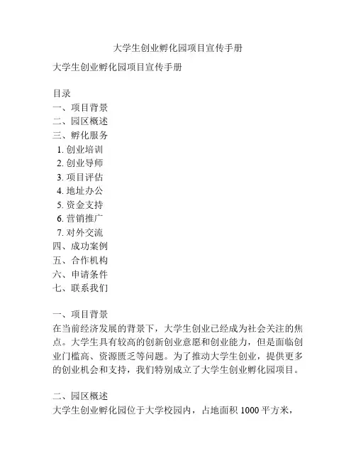 大学生创业孵化园项目宣传手册