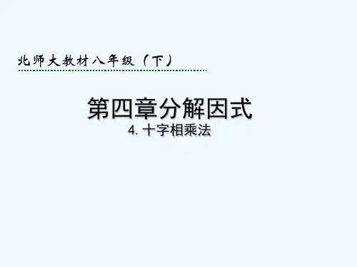 北师大版十字相乘法 PPT