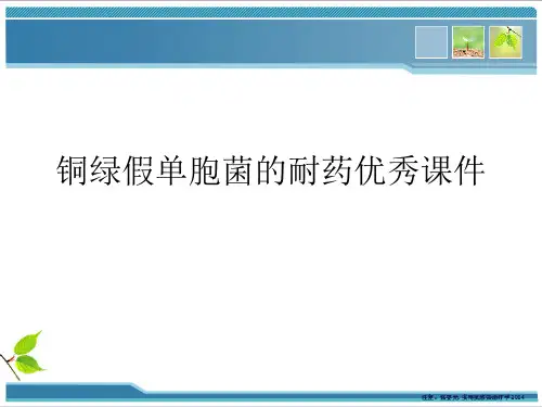 铜绿假单胞菌的耐药优秀课件