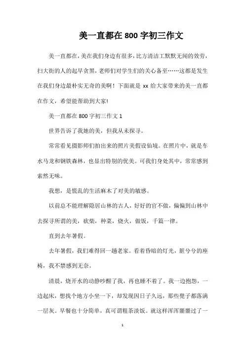 美一直都在800字初三作文