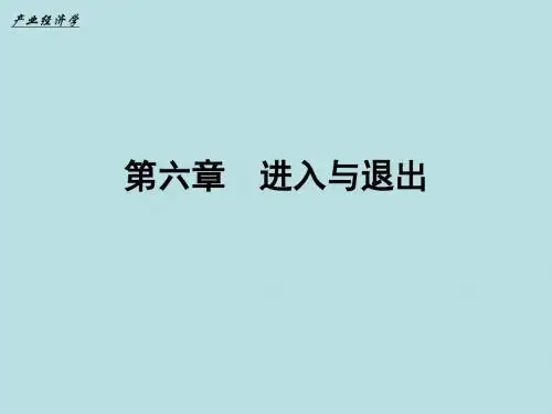 第六章  进入与退出