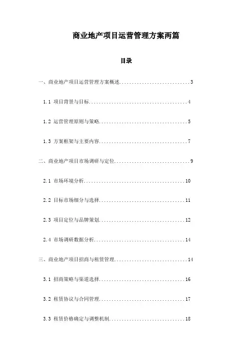 商业地产项目运营管理方案两篇