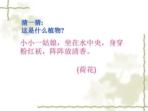 《莲文化的魅力》课件