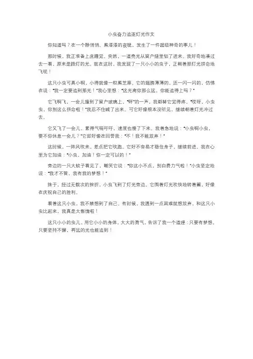 小虫奋力追逐灯光作文