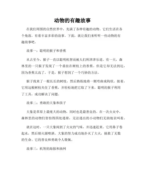 动物的有趣故事