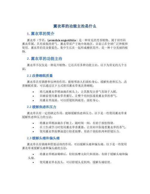 薰衣草的功能主治是什么