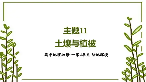 主题11 土壤与植被(课时2)(课件)高一地理(中图中华地图版必修1沪教版2022)