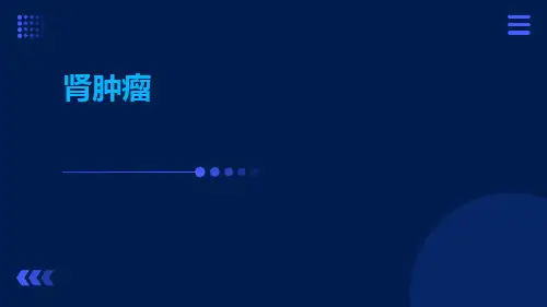 (医学课件)肾肿瘤