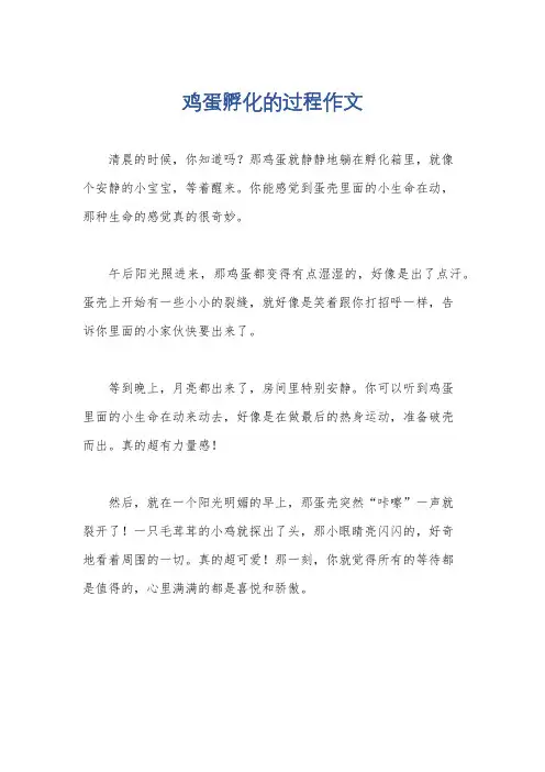 鸡蛋孵化的过程作文