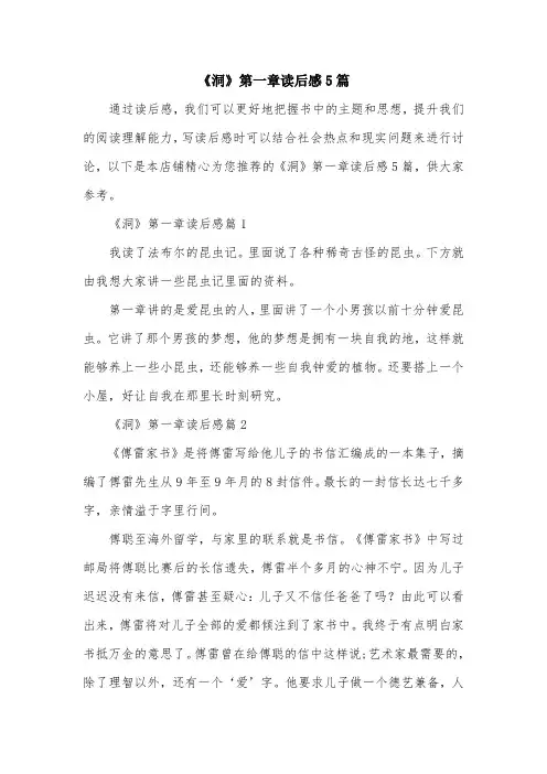 《洞》第一章读后感5篇