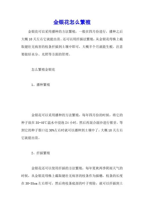 金银花怎么繁殖