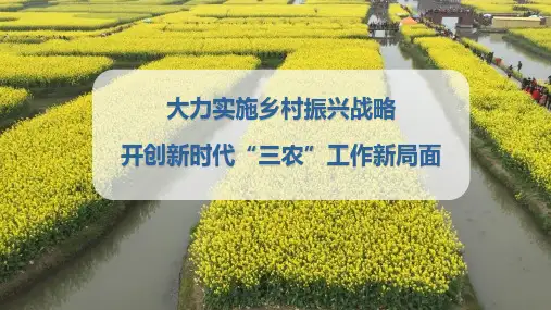 乡村振兴PPT课件：大力实施乡村振兴战略 开创新时代“三农”工作新局面