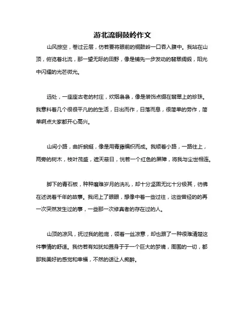 游北流铜鼓岭作文