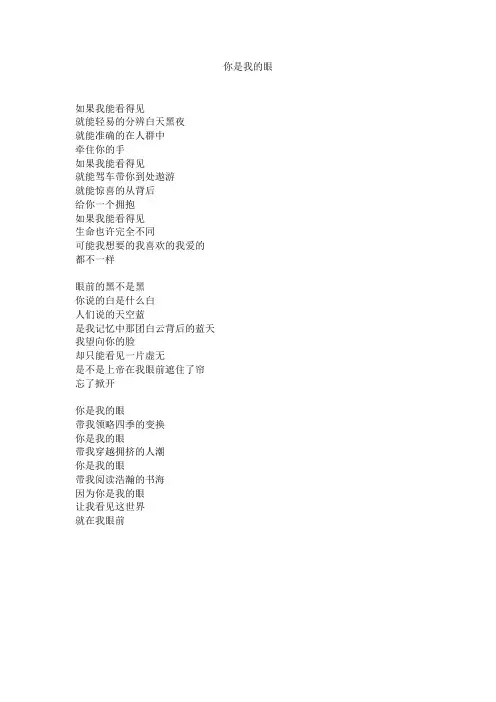 你是我的眼歌词