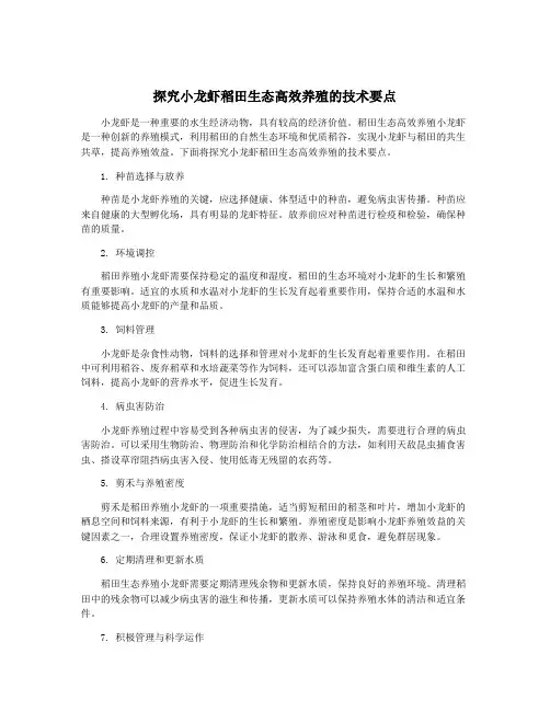 探究小龙虾稻田生态高效养殖的技术要点