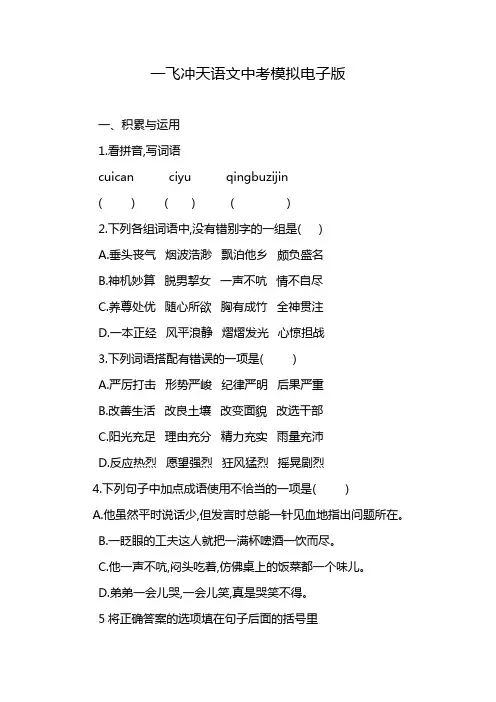 一飞冲天语文中考模拟电子版