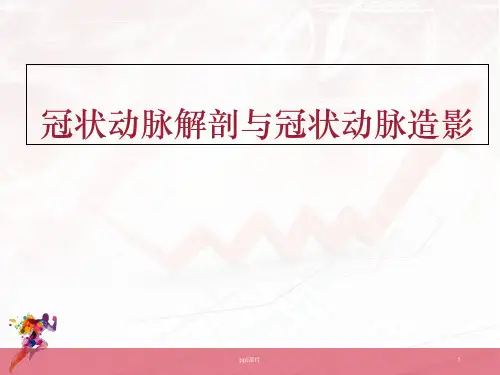 冠状动脉解剖与冠状动脉造影  ppt课件