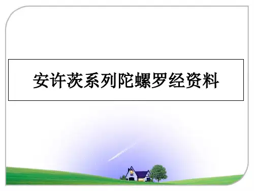 安许茨系列陀螺罗经资料