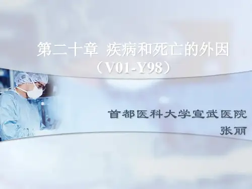 疾病分类icd-10第20、21章