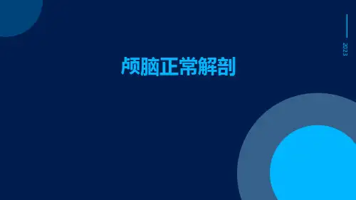 (医学课件)颅脑正常解剖