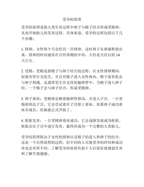 受孕的原理
