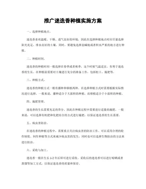 推广迷迭香种植实施方案