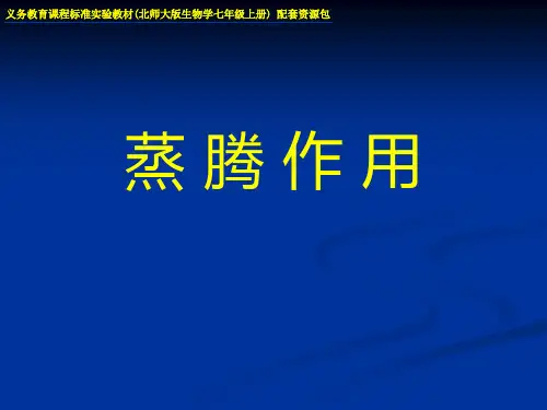 《蒸腾作用》-优质精选PPT