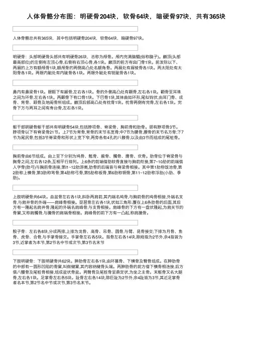 人体骨骼分布图：明硬骨204块，软骨64块，暗硬骨97块，共有365块