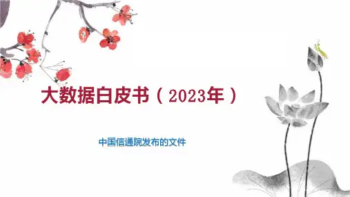 大数据白皮书(2023年)