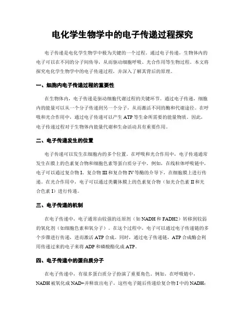 电化学生物学中的电子传递过程探究