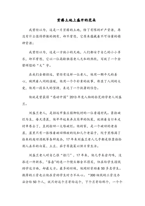 贫瘠土地上盛开的花朵