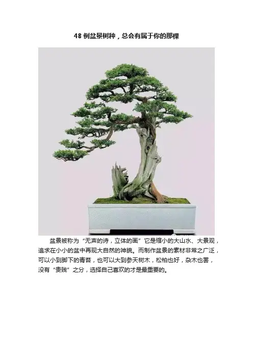 48例盆景树种，总会有属于你的那棵