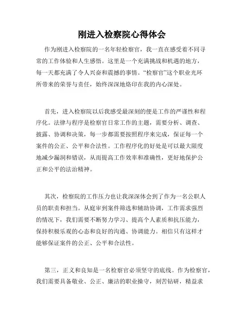 刚进入检察院心得体会