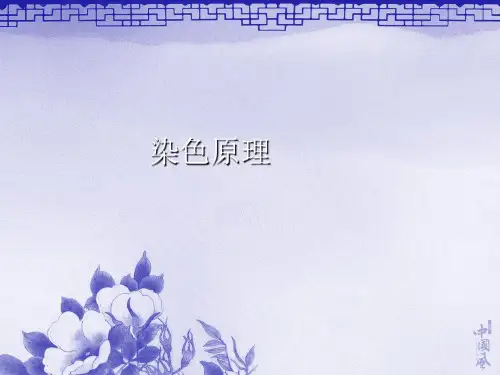 染色原理及染色