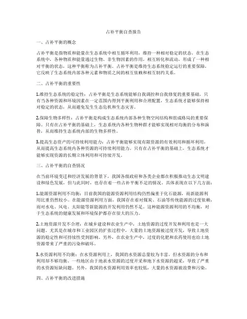 占补平衡自查报告