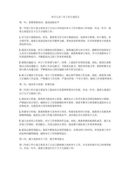 审计人员三年工作计划范文