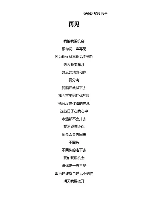 《再见》歌词 阿牛
