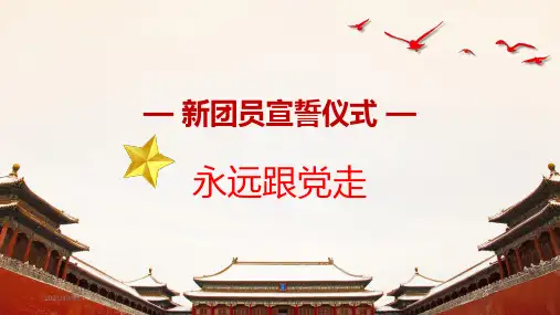 入团宣誓仪式最新版课件