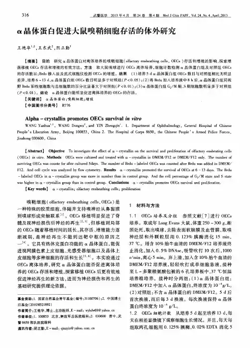 α晶体蛋白促进大鼠嗅鞘细胞存活的体外研究
