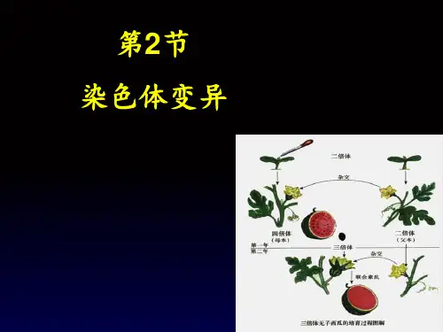 染色体变异(正式版)PPT课件