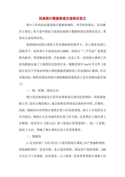 民政统计数据核查自查报告范文