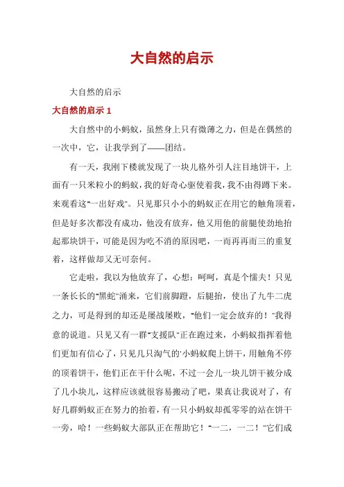 大自然的启示
