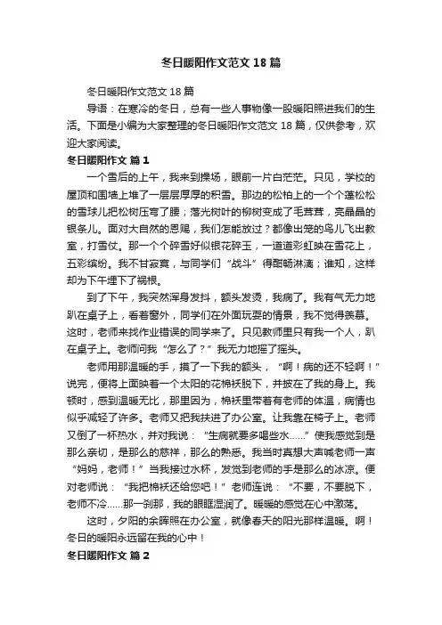 冬日暖阳作文范文18篇