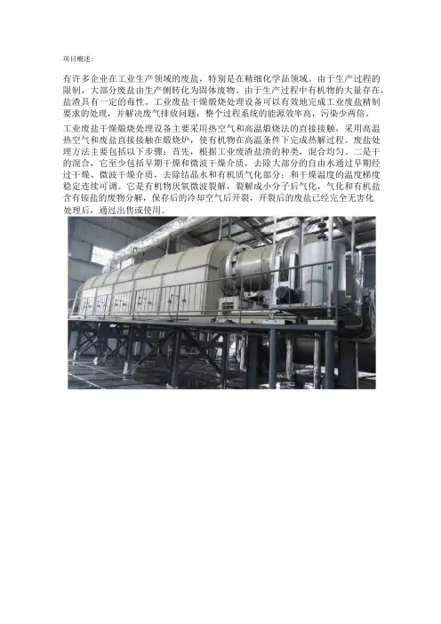 工业废盐干燥煅烧处理设备,有机废盐高温煅烧回转窑炉