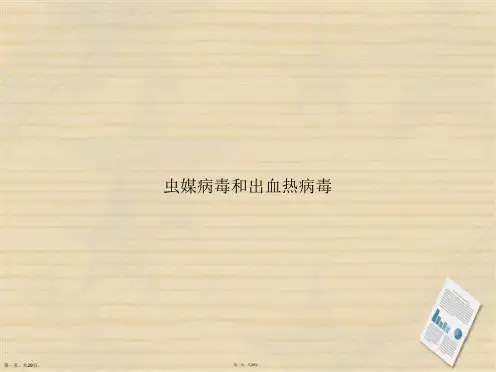 虫媒病毒和出血热病毒讲课文档